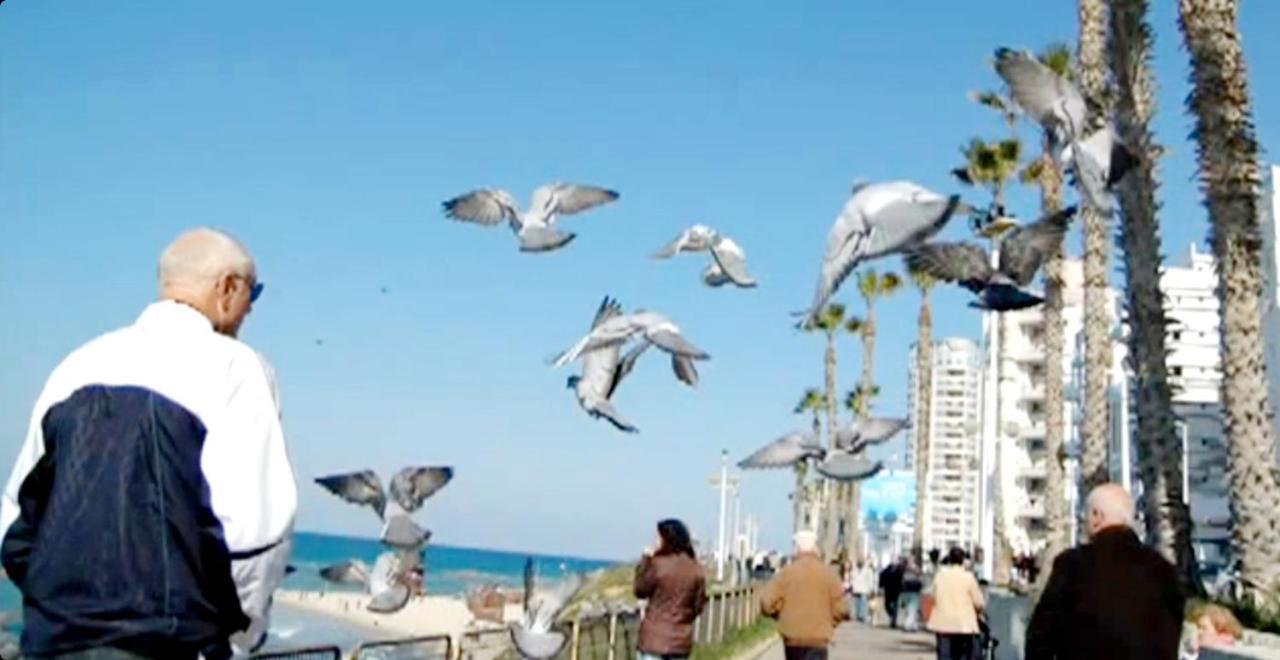 612 Apartment On The Beach Bat Yam Extérieur photo