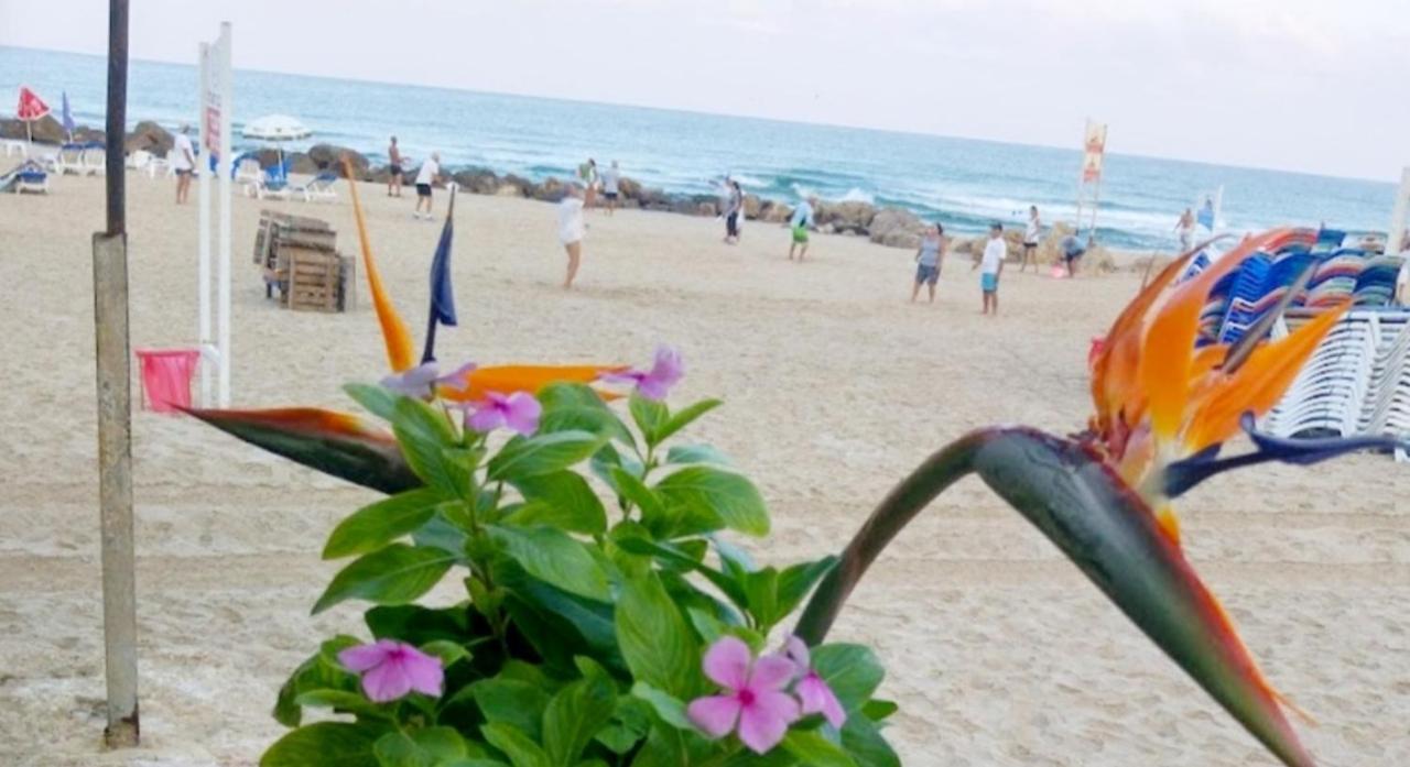 612 Apartment On The Beach Bat Yam Extérieur photo